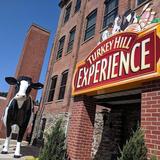 Turkey Hill Experience