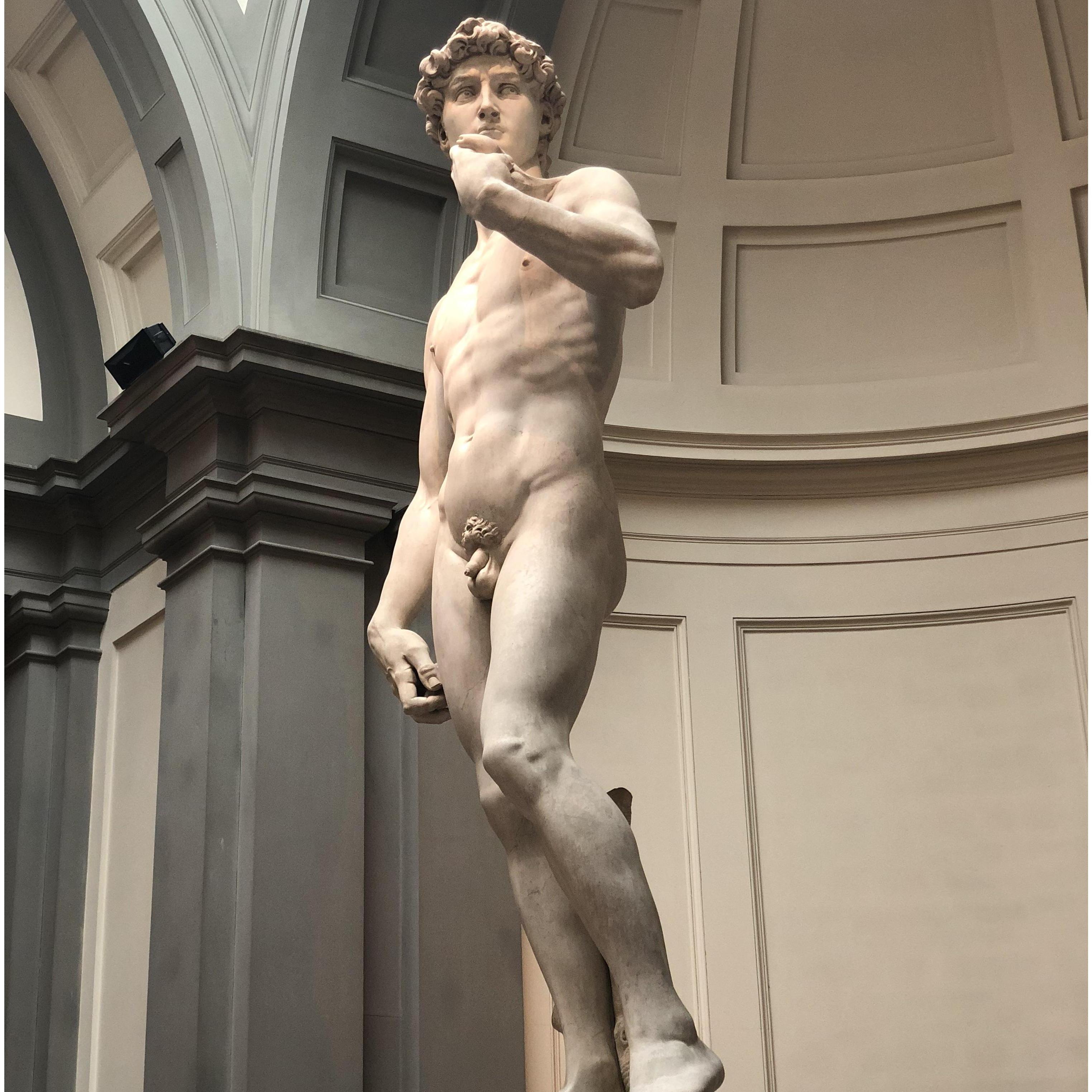 The original sculpture of David created by Michelangelo's bare hands. We visited this masterpiece while we were in Florence, Italy.