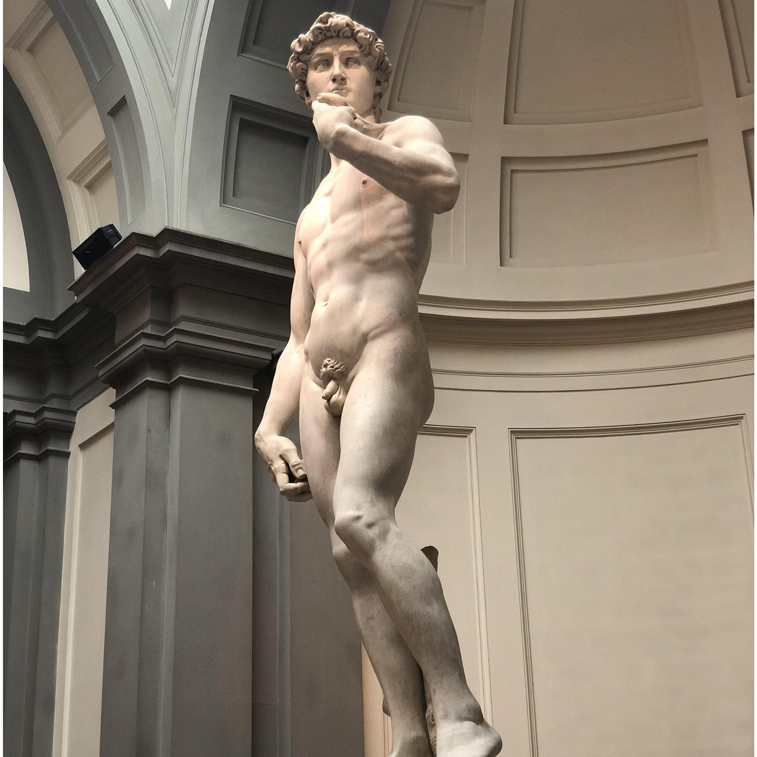 The original sculpture of David created by Michelangelo's bare hands. We visited this masterpiece while we were in Florence, Italy.