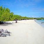 Tortuga Bay