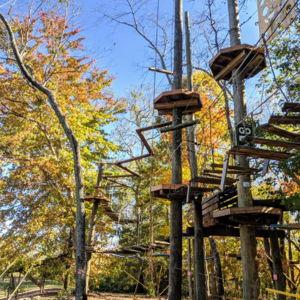 Treetops Adventure Park Expedition