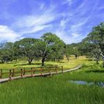 Play & Hike at Rockville Park