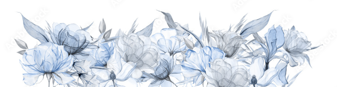 The Wedding Website of Seth Wilson and Carina Morroni