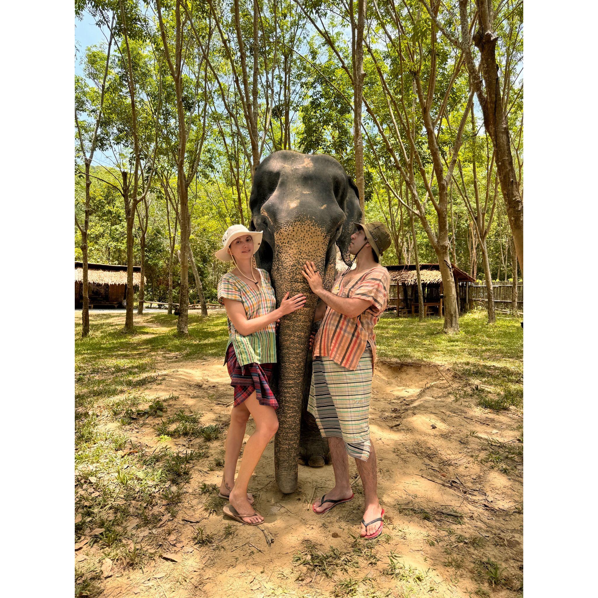 At an elephant sanctuary in Thailand!
