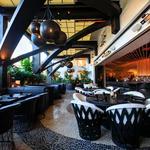 Javier's