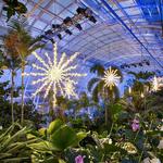 Myriad Botanical Gardens