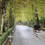 El Parque de María Luisa (María Luisa Park)