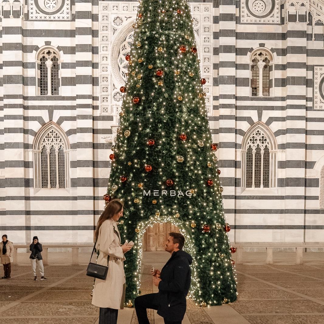 The proposal