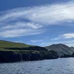 Dingle Sea Safari