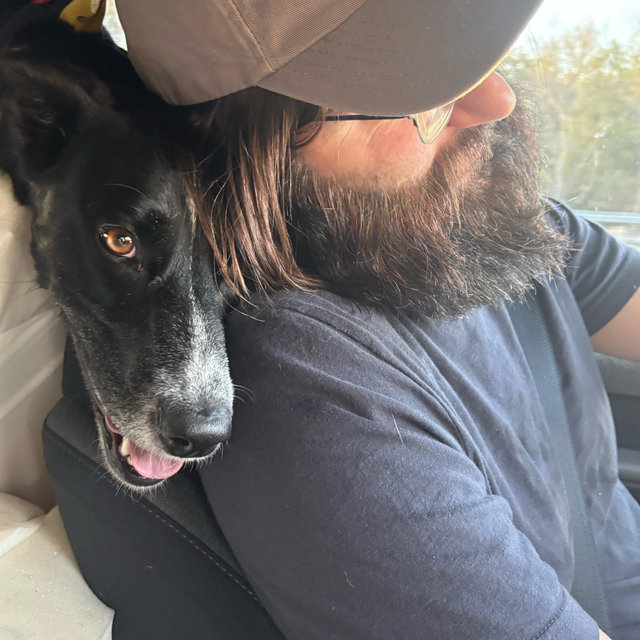 CHEWY eGift Card, Chewy Pet Lovers, $50 - Chewy.com