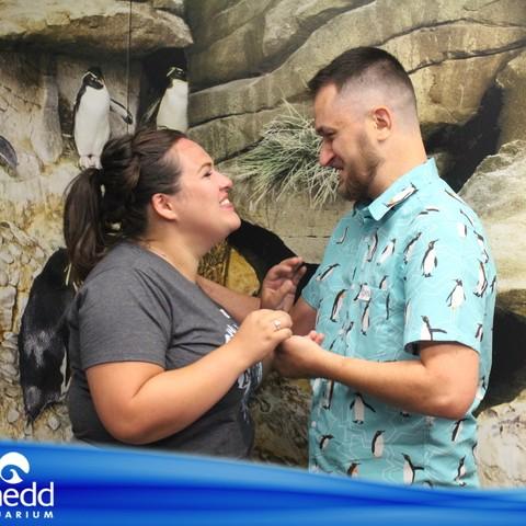 The perfect engagement