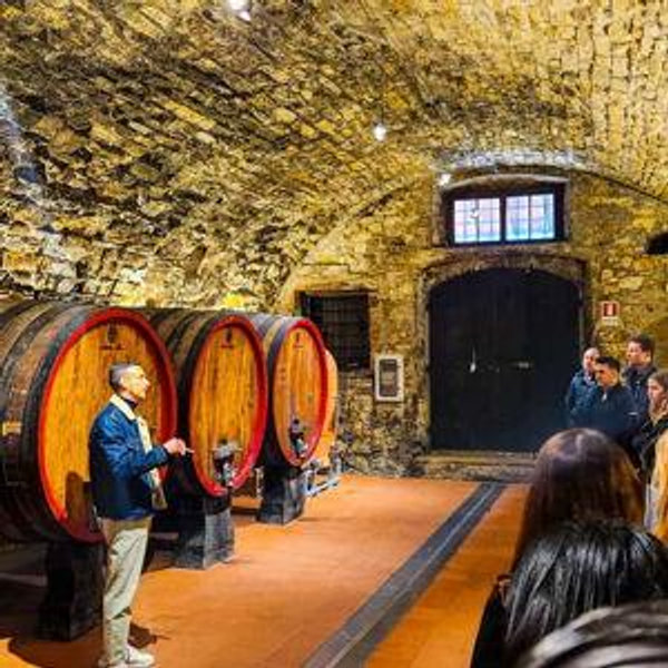 Wine Tasting in Chianti