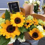 Telluride Farmer's Market