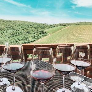 Tuscany Wine Tasting