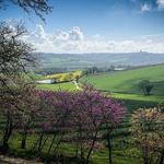 Domaine de Mirail Winery