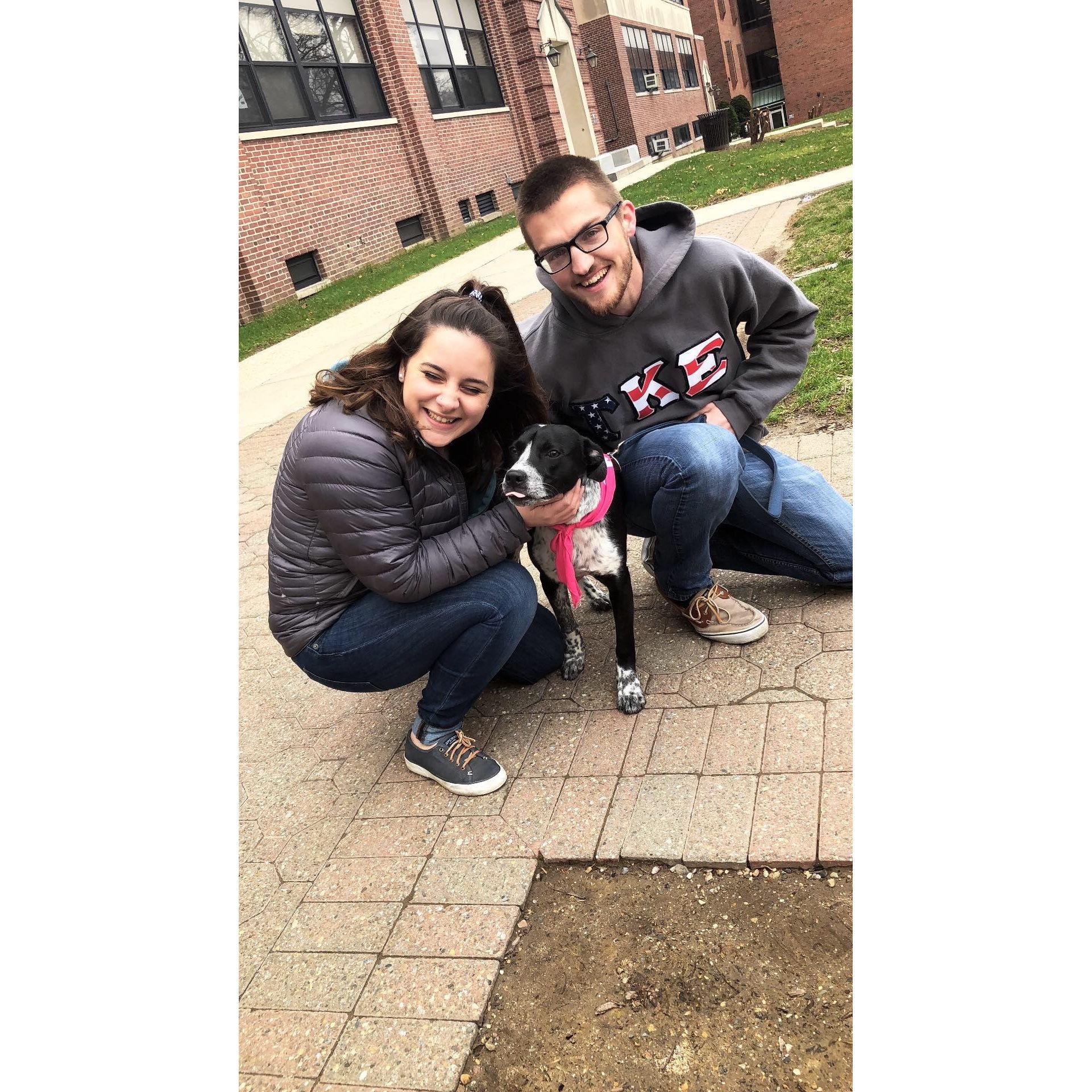 Puppies on campus!