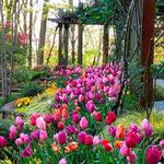 Gibbs Gardens