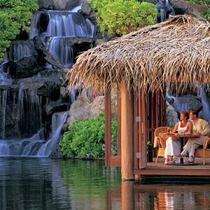 Romantic Dinner Under the Stars