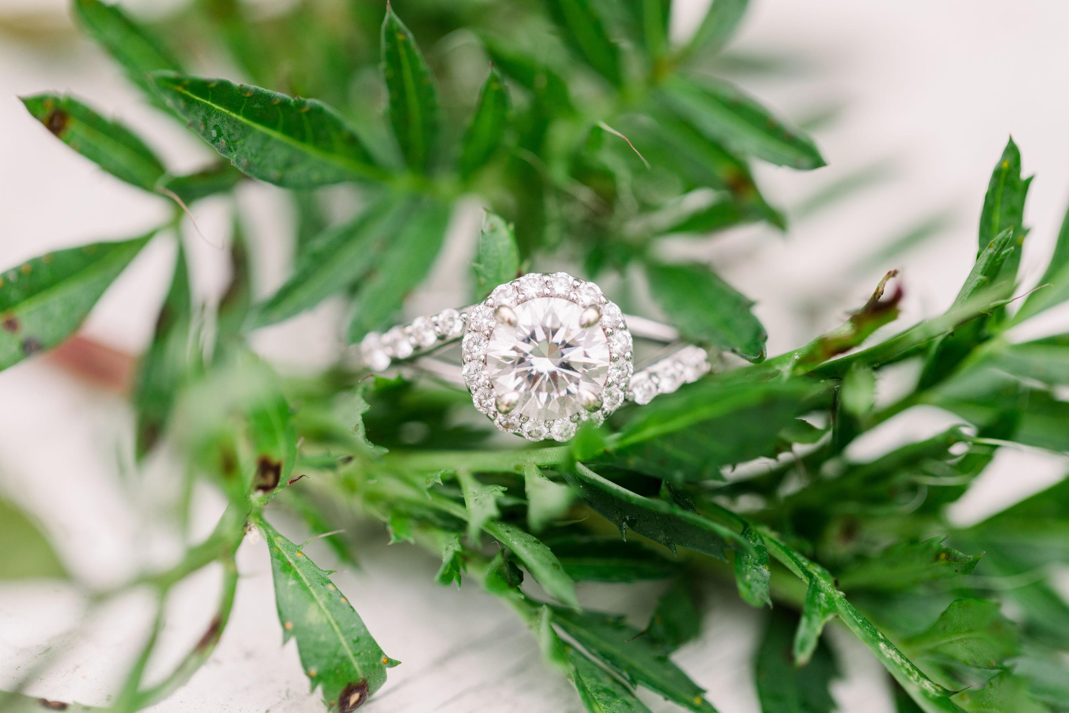 The Wedding Website of Rachael Mattio and Robert Petrizzo