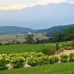 Northern Virginia Wineries