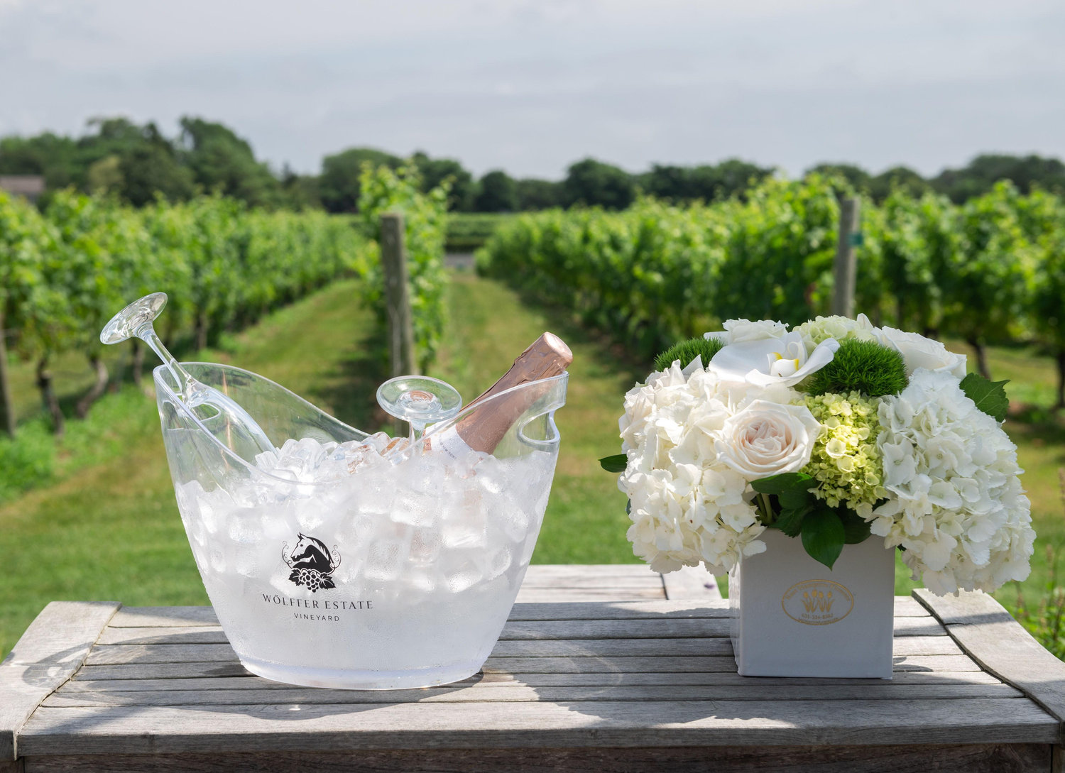 The Wedding Website of Lauren Freidhof and Santi Lara