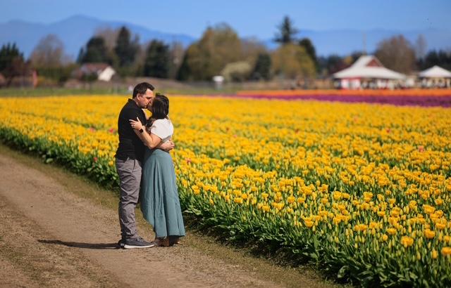 The Wedding Website of Jeremy Thake and Lauren Last