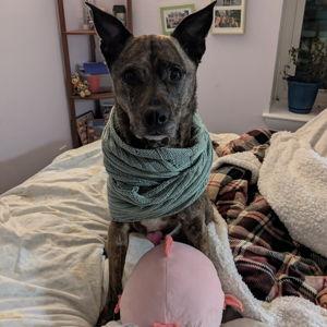 Lyra's Expensive Lifestyle