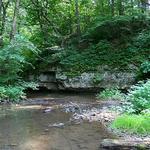 White Pines Forest State Park