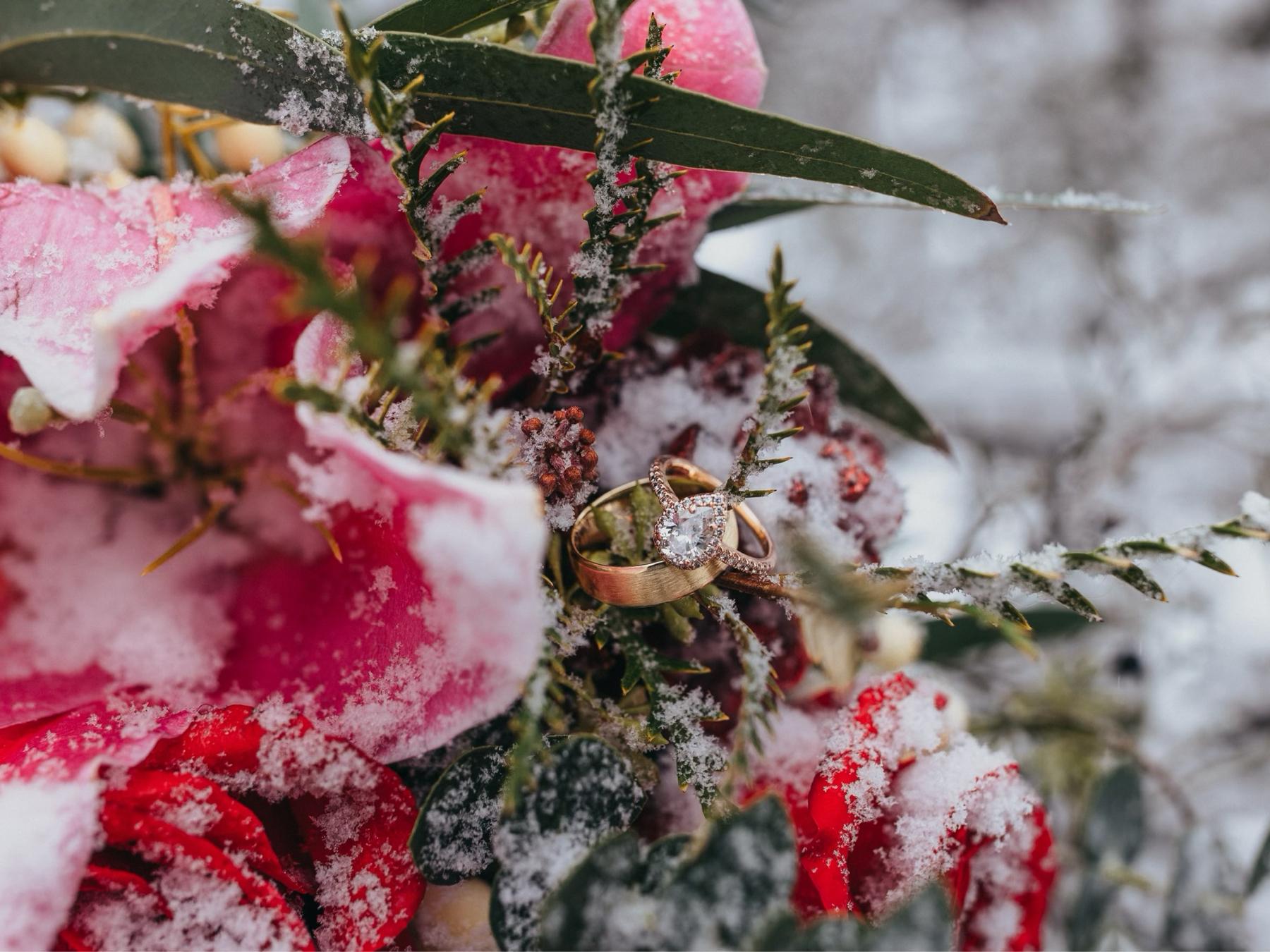 The Wedding Website of Natesha Hutchison and Caleb Slater