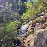 Maxwell Falls Lower Trail