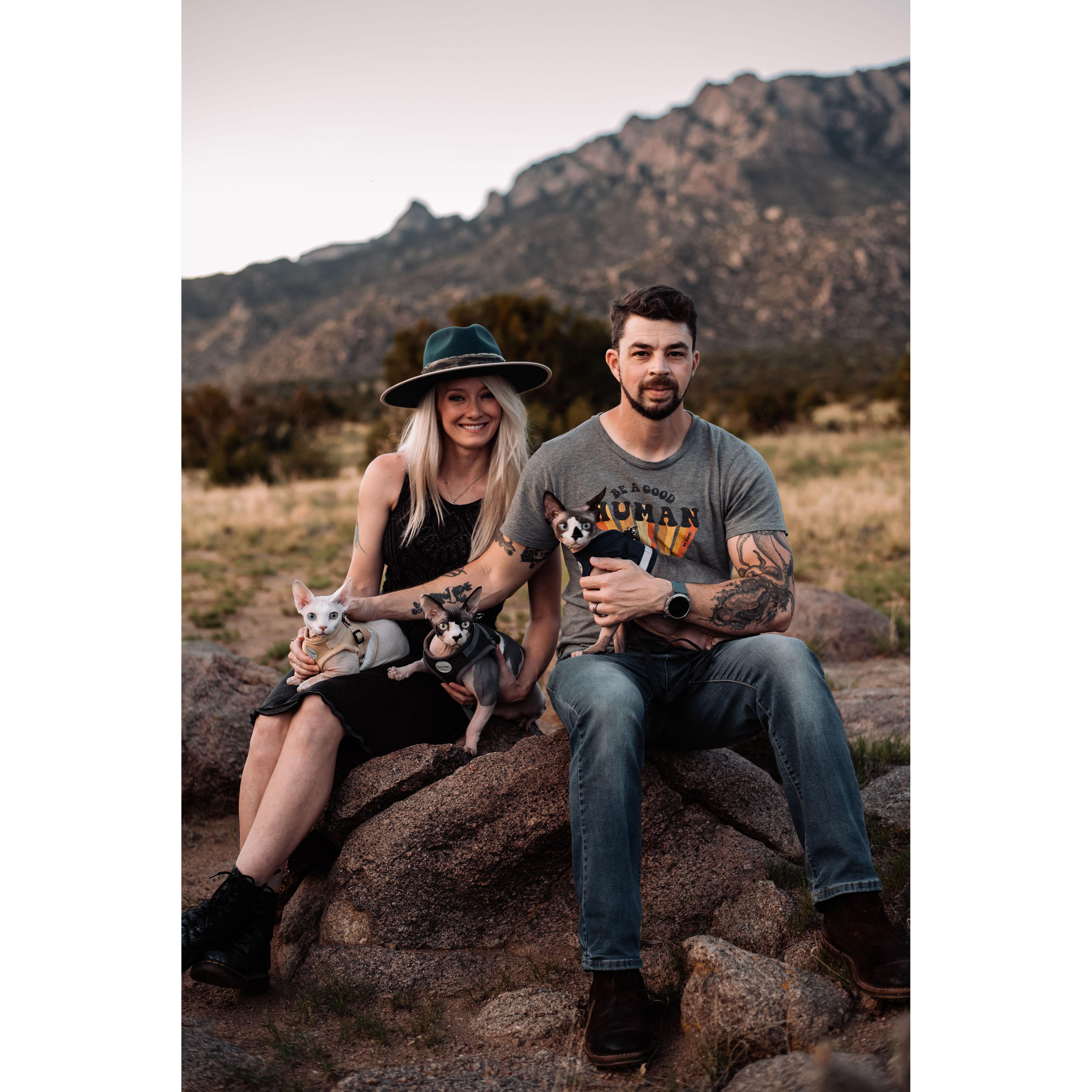 Our little cat family!