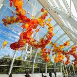 Chihuly Garden and Glass