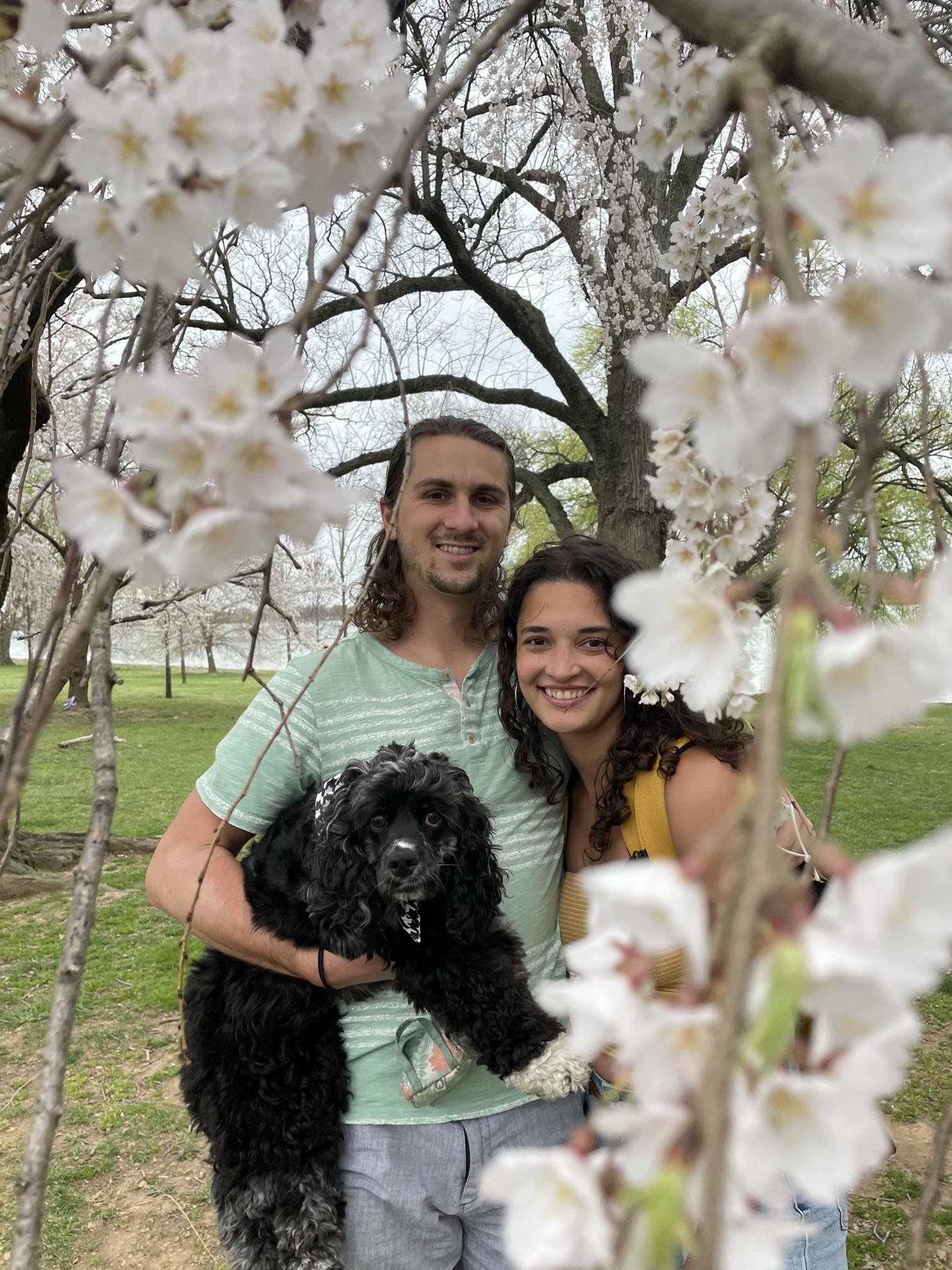 Cherry Blossom Festival, D.C., 2021