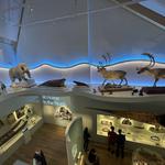 Peary-MacMillan Arctic Museum