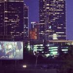 Coyote Drive-In (Fort Worth)