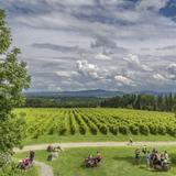 Domaine Les Brome / Léon Courville, winemaker