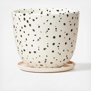 Speckled Planter with Saucer