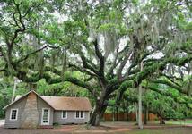 Washington Oaks Gardens State Park