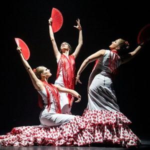 Flamenco Night Out in Barcelona