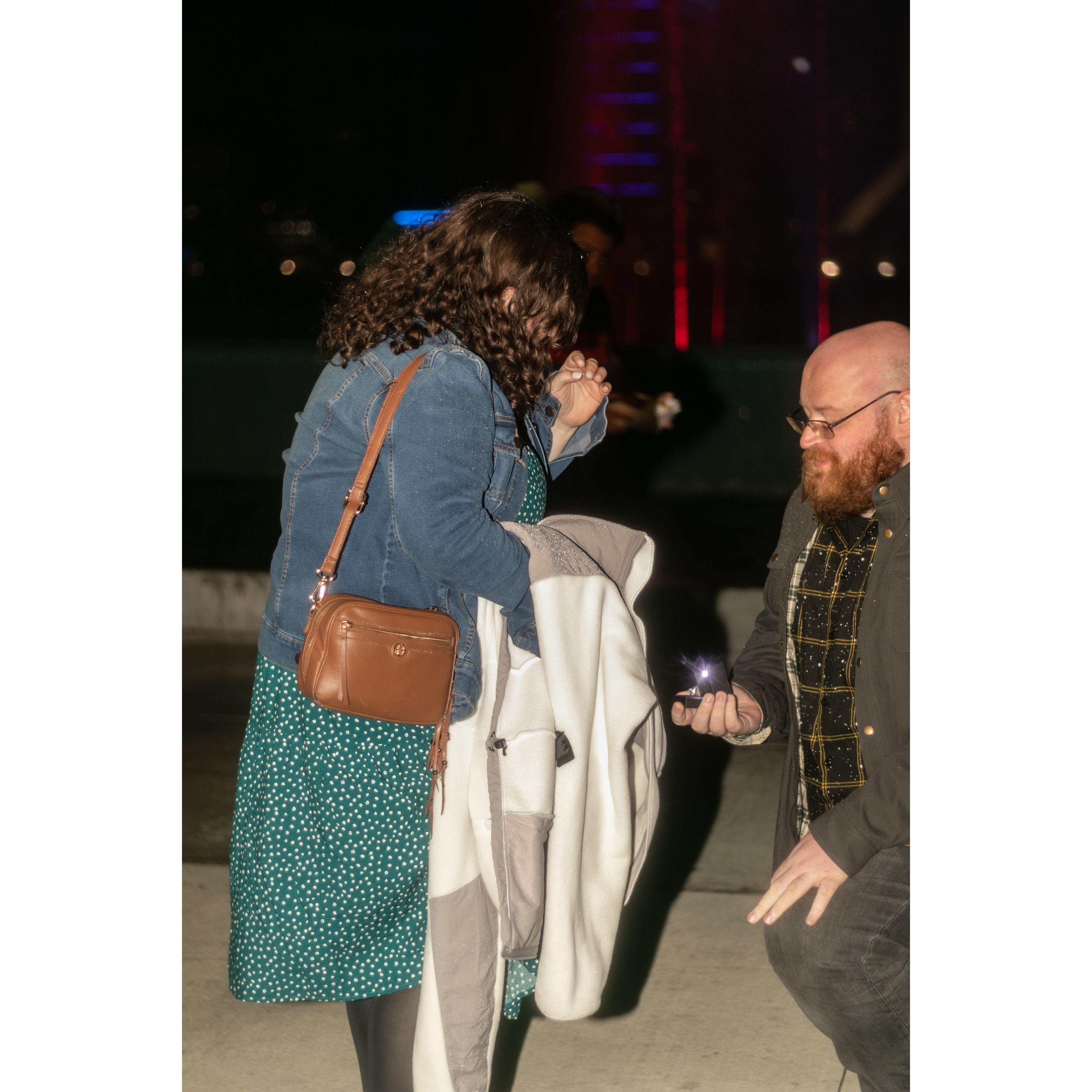 The Proposal!!! I said yes!!!