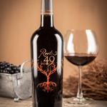 Wine Tasting at Naggiar Vineyards