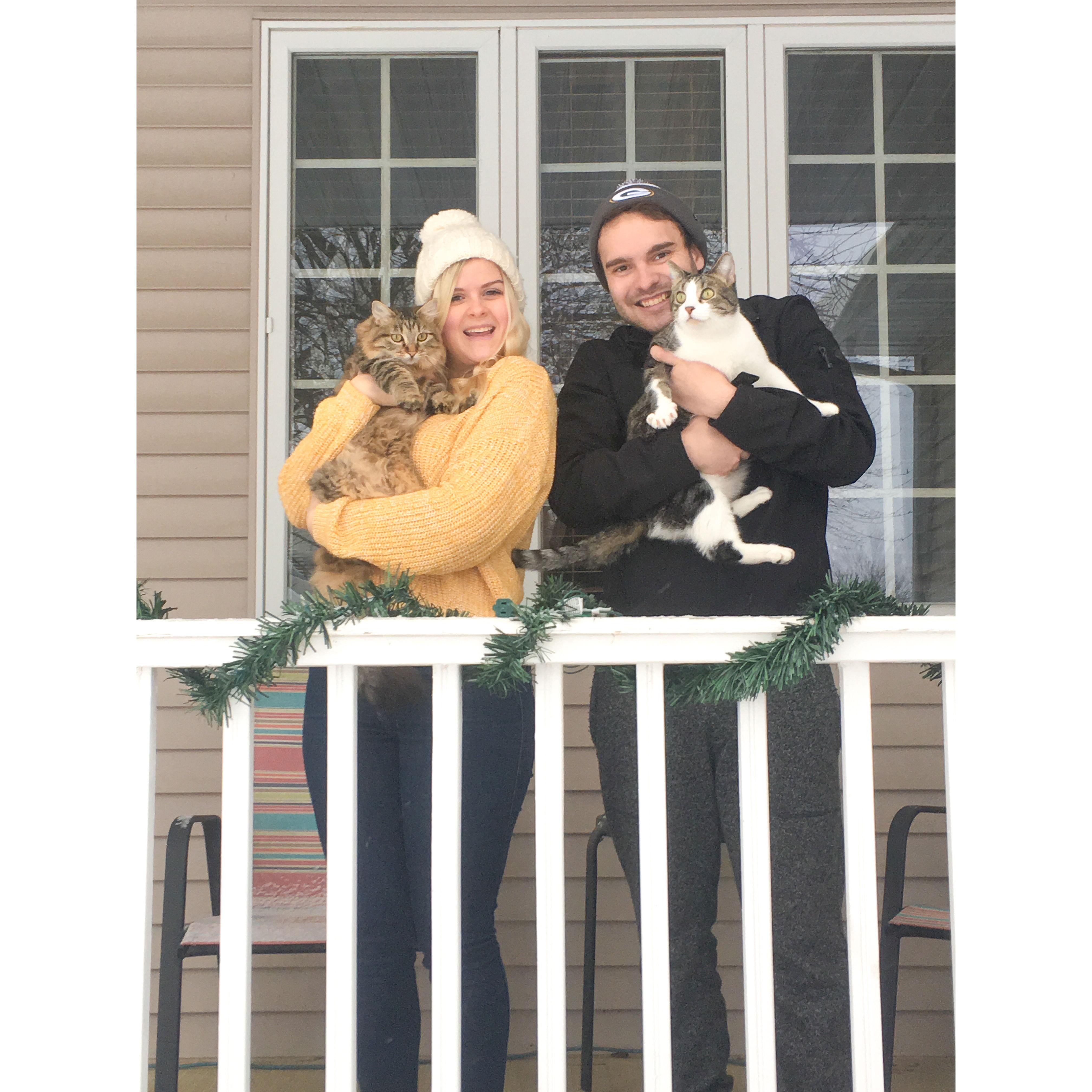Christmas with the kitties