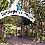 Monarch Butterfly Sanctuary