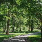 Wolf's Hollow County Park
