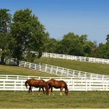 Kentucky Horse Park