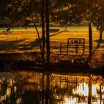 Bellevue State Park