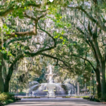 Forsyth Park