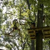 Treescape Aerial Adventure Park