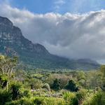 Kirstenbosch National Botanical Garden