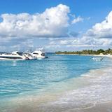 Excursions (catalina island, cave tours, buggy rentals, and more)